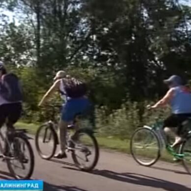 В Калининградской области реализуют несколько проектов в области велотуризма