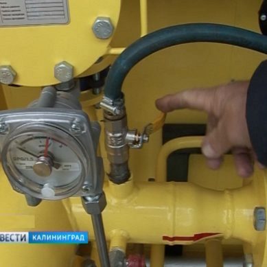 Корпорация развития области готовит обоснование инвестиций реконструкции газосистемы Светлогорска