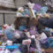 Власти обсудят, как решить мусорный коллапс в Калининграде