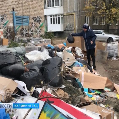 Разбираемся в «мусорной реформе» Калининградской области