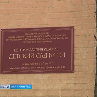 В Калининграде руководство детского сада № 101 оштрафовали за тараканов