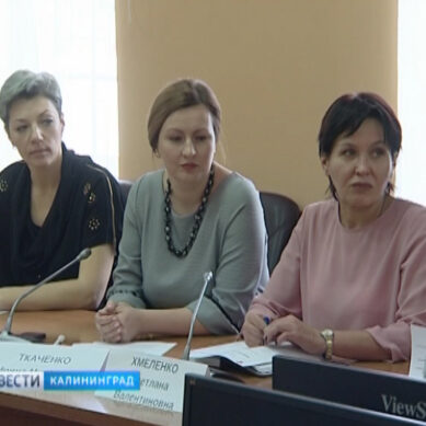 В Калининграде намерены открыть центр лечебной педагогики для детей