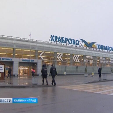 В транспортной полиции прокомментировали задержание дебошира на рейсе Калининград — Москва