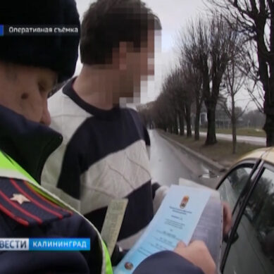 В Калининграде сотрудники ГИБДД начали проверку таксистов