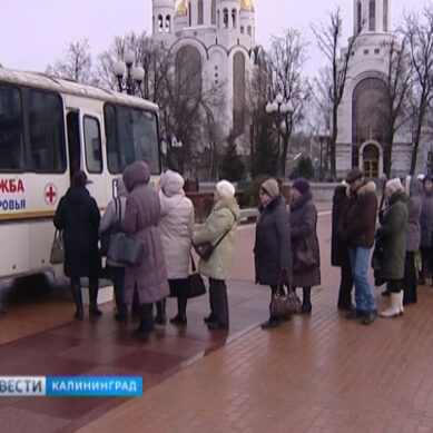 Жители Калининграда смогли проверить свой уровень сахара в крови прямо в центре города