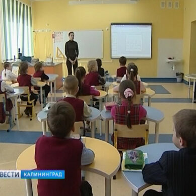 В Калининграде 4 школы уже закончили приём в первые классы на следующий учебный год