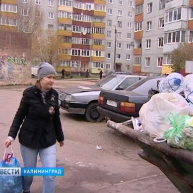 Калининградцы продолжают жаловаться на неубранный мусор