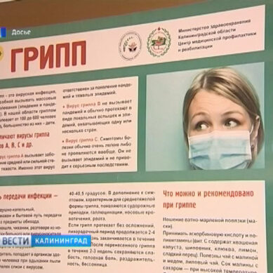 В Калининградской области заболеваемость гриппом и ОРВИ идет на спад