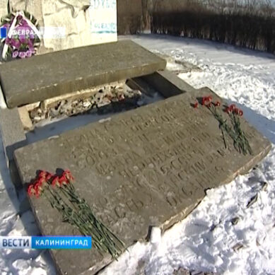 В Калининграде обсудили создание мемориала памятникам советским солдатам, разрушенные за рубежом