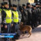Под Гурьевском проходит большой полицейский рейд