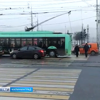 В центре Калининграда перестали работать светофоры