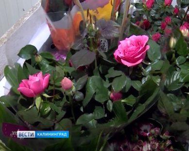 Цветы в Калининград привозят из Европы, Латинской Америки и Африки