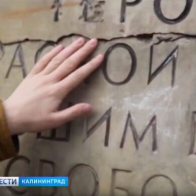 В Калининграде обсуждают создание мемориала демонтированных за рубежом памятников и захоронений советских воинов