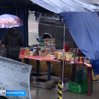 Власти Калининграда намерены бороться со стихийными мини-рынками