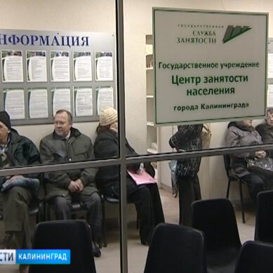 В Калининградской области растёт количество вакансий рабочих профессий