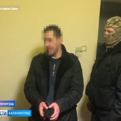 Калининградские полицейские задержали серийных квартирных воров
