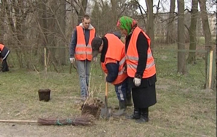 В Гусеве администрация проконтролирует работу дворников