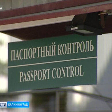 В течение полугода Россия примет решение по электронным визам