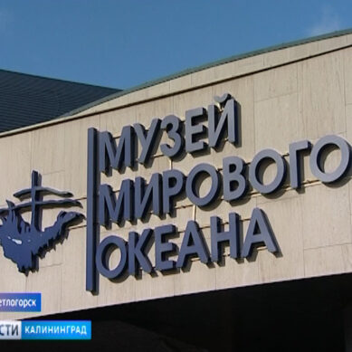 В Калининграде стартовал открытый лекторий «Культура 2.0»
