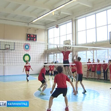 Среди подшефных школ пограничного института ФСБ прошёл турнир по волейболу