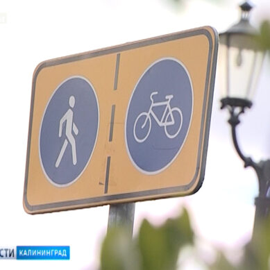 В Калининградской области появится велодорожка протяжённостью более 30 км