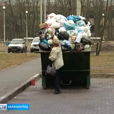 Власти Калининграда обсудили санитарную обстановку в городе