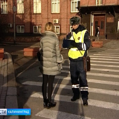 Сотрудники ГИБДД задержали в Калининграде полтора десятка пешеходов-нарушителей