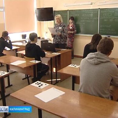 Более 120 жителей Калининградской области  пишут ЕГЭ по русскому языку