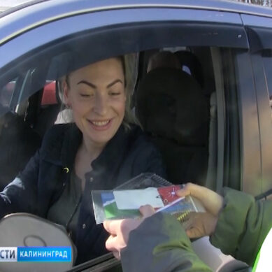 В Калининграде водителям вручили печенье с изображением логотипов марок автомобилей