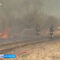 В Калининградской области за сутки пожарные потушили 19 палов травы