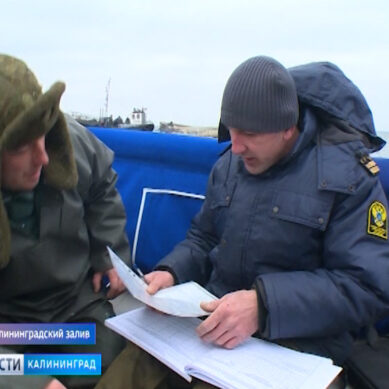 Инспекторы рыбоохраны провели рейд на Калининградском заливе