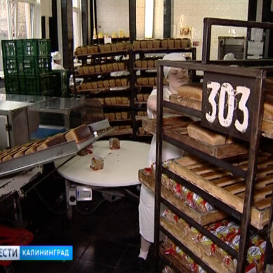 Калининградский хлеб получил высокую оценку на престижной выставке в Москве