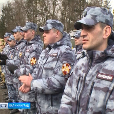 В России отмечают День войск национальной гвардии РФ