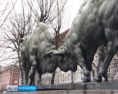 «Борющихся зубров» и памятник Шиллеру передадут на баланс администрации Калининграда