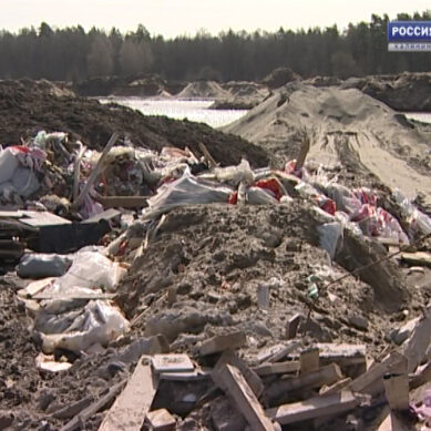 Региональный Россельхознадзор подтвердил незаконную добычу песка недалеко от посёлка Ижевское