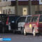 В Калининградской области таможня изъяла три автомобиля за нарушение сроков временного ввоза