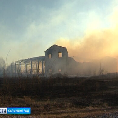 Пожар на улице Петрозаводской уничтожил целое производство