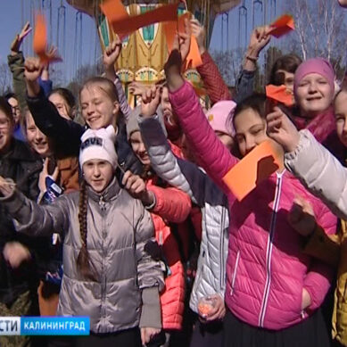 В Калининграде стартовал сбор денег в благотворительном марафоне «Ты нам нужен»