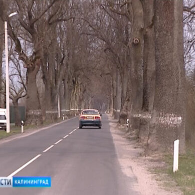 37% дорог в Калининградской области находятся в нормативном состоянии