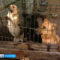 Бездомными животными в Калининградской области займется специализированное госучреждение