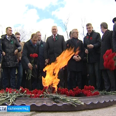 Калининград отмечает 74-ю годовщину взятия Кёнигсберга