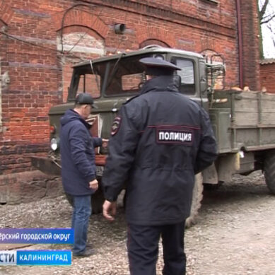 В Калининградской области сотрудники полиции задержали группу чёрных лесорубов