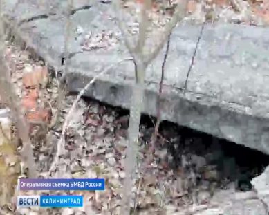 Подозреваемый в убийстве житель Немана прятался от полицейских под бетонной плитой в лесу