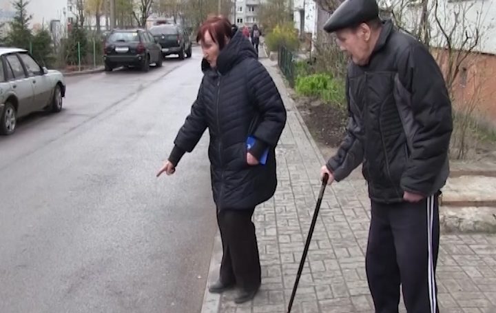В Калининграде водитель сбил собаку и скрылся с места ДТП