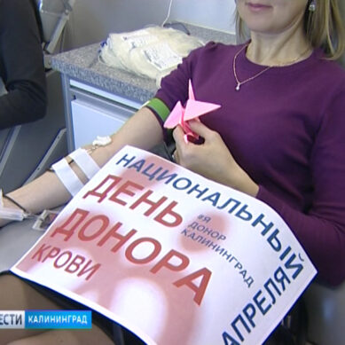 Калининград присоединился ко всероссийской акции, приуроченной к Национальному дню донора