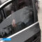 Более 300 водителей в Калининграде оштрафованы за тонировку авто