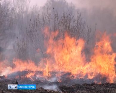 С 1 мая в Калининграде вводится особый противопожарный режим