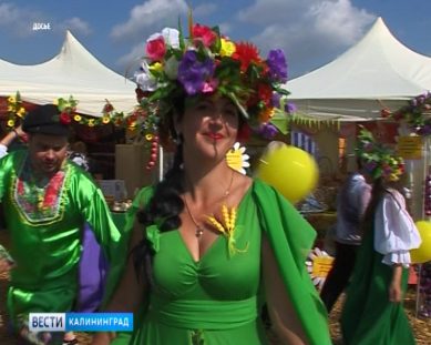 Стали известны даты проведения фестиваля «День балтийского поля»