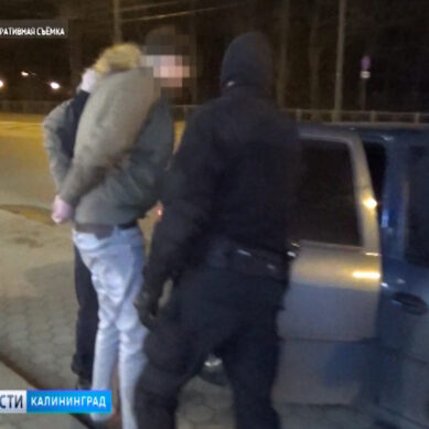 В Калининграде полицейские и бойцы спецназа «Гром» задержали наркодилеров