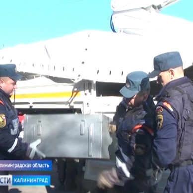 В Калининградской области обезвредили авиационную бомбу